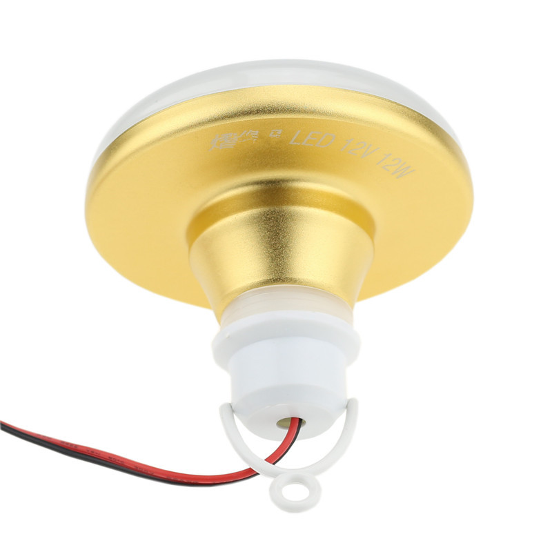 مصباح LED مقاوم للماء 12 فولت  - مراجعة Outdoor Lighting Vendors وسعره