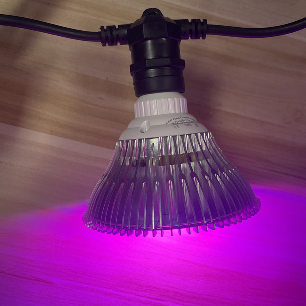 سلسلة إضاءة LED بطول 10 أمتار، - مراجعة Outdoor Lighting Extension Cord وسعره